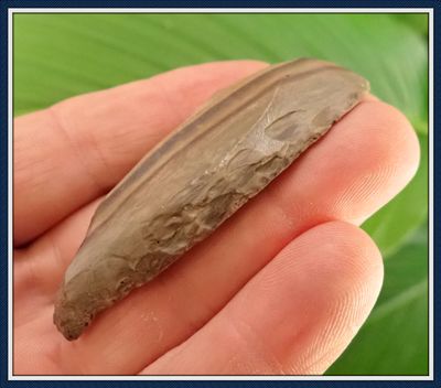~ Paleo Scraper ~ Banded Chert ~ Kentucky ~
