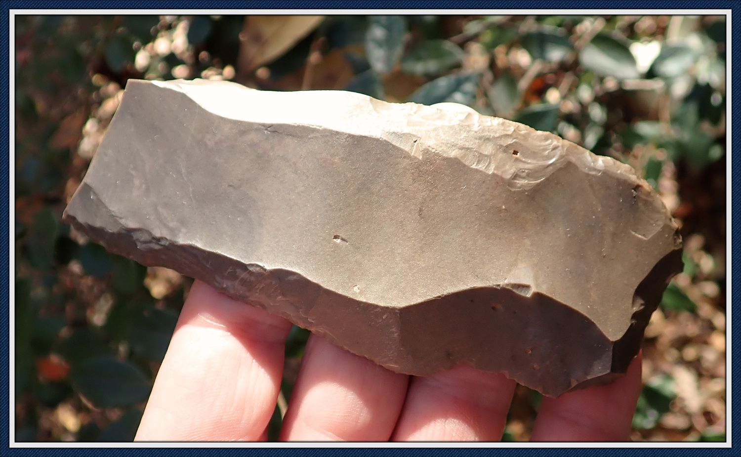 ~ Large Paleo Fluted Knife ~ From Cumberland Site ~