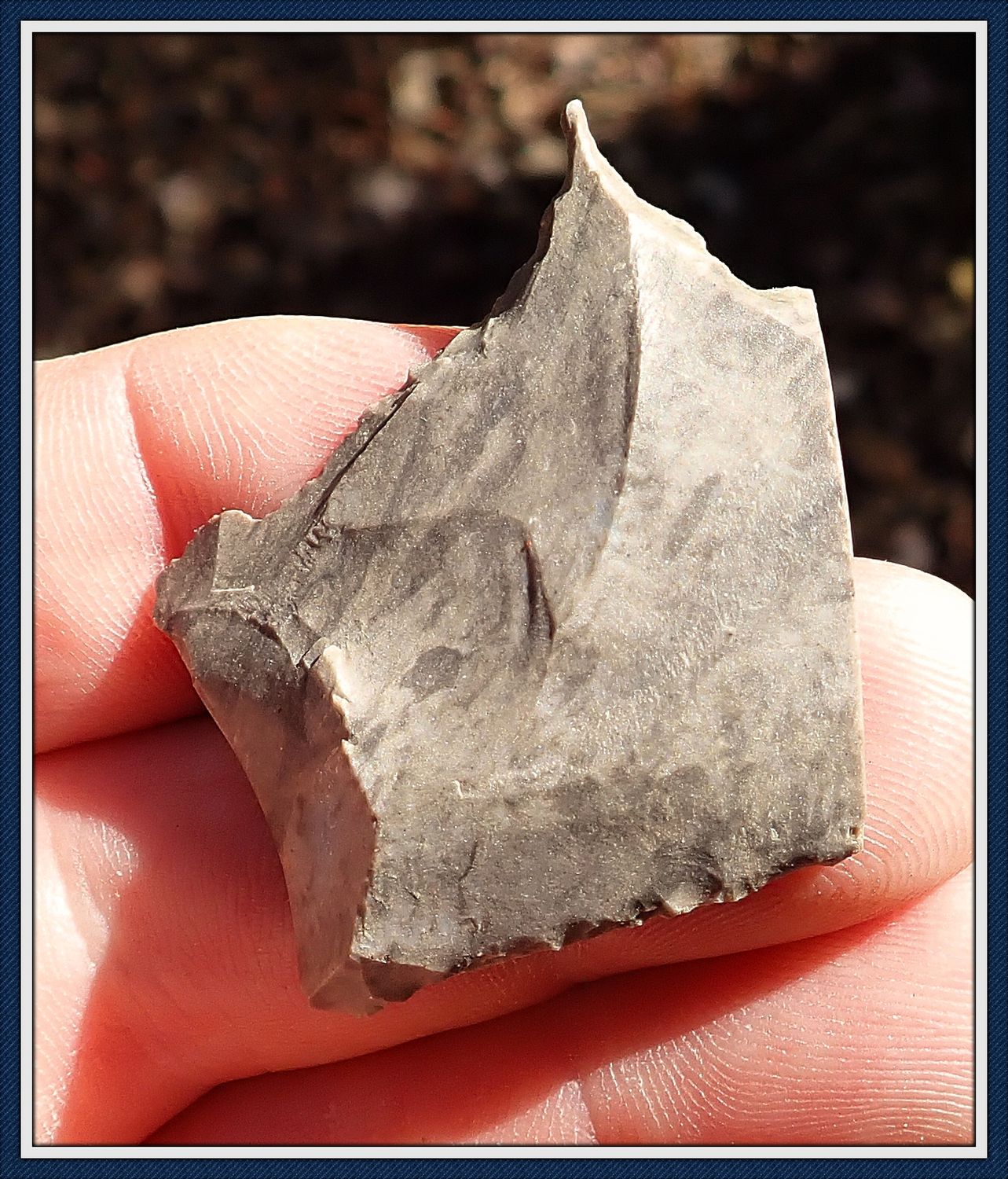 ~ Paleo Flaked ~ Graver Tool ~ Denticulate ~