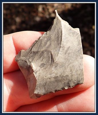 ~ Paleo Flaked ~ Graver Tool ~ Denticulate ~