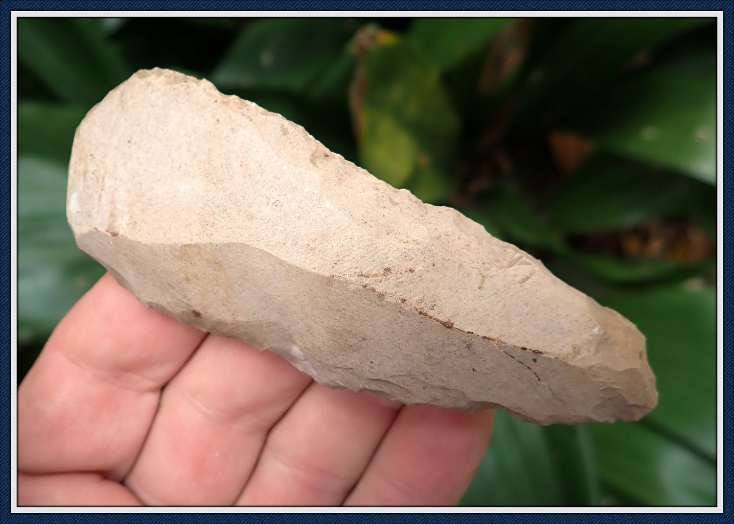 ~ Premium Paleo ~ Snub-Nose Knife Blade – Kentucky Paleo Tool