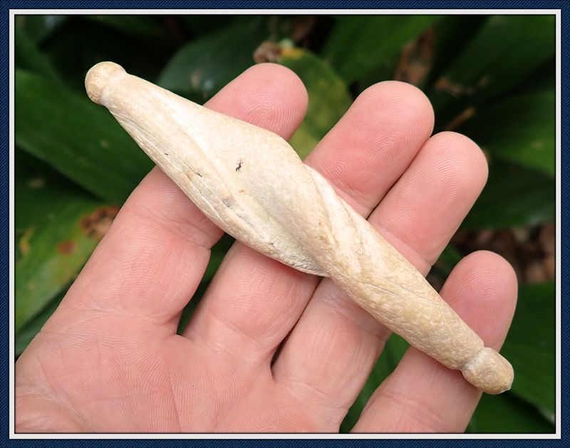 ~ West Coast Florida ~  Shell Plummet ~ Pendant ~ SOLD