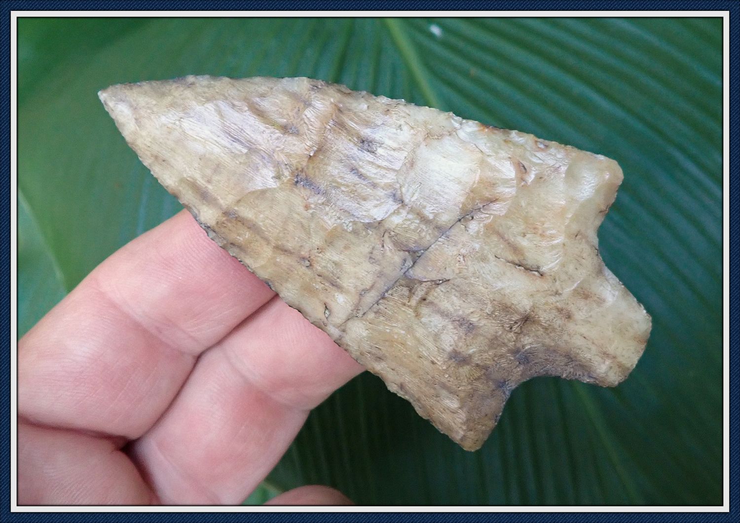 ~ Colorful Translucent Coral ~ Marion Spear Point ~