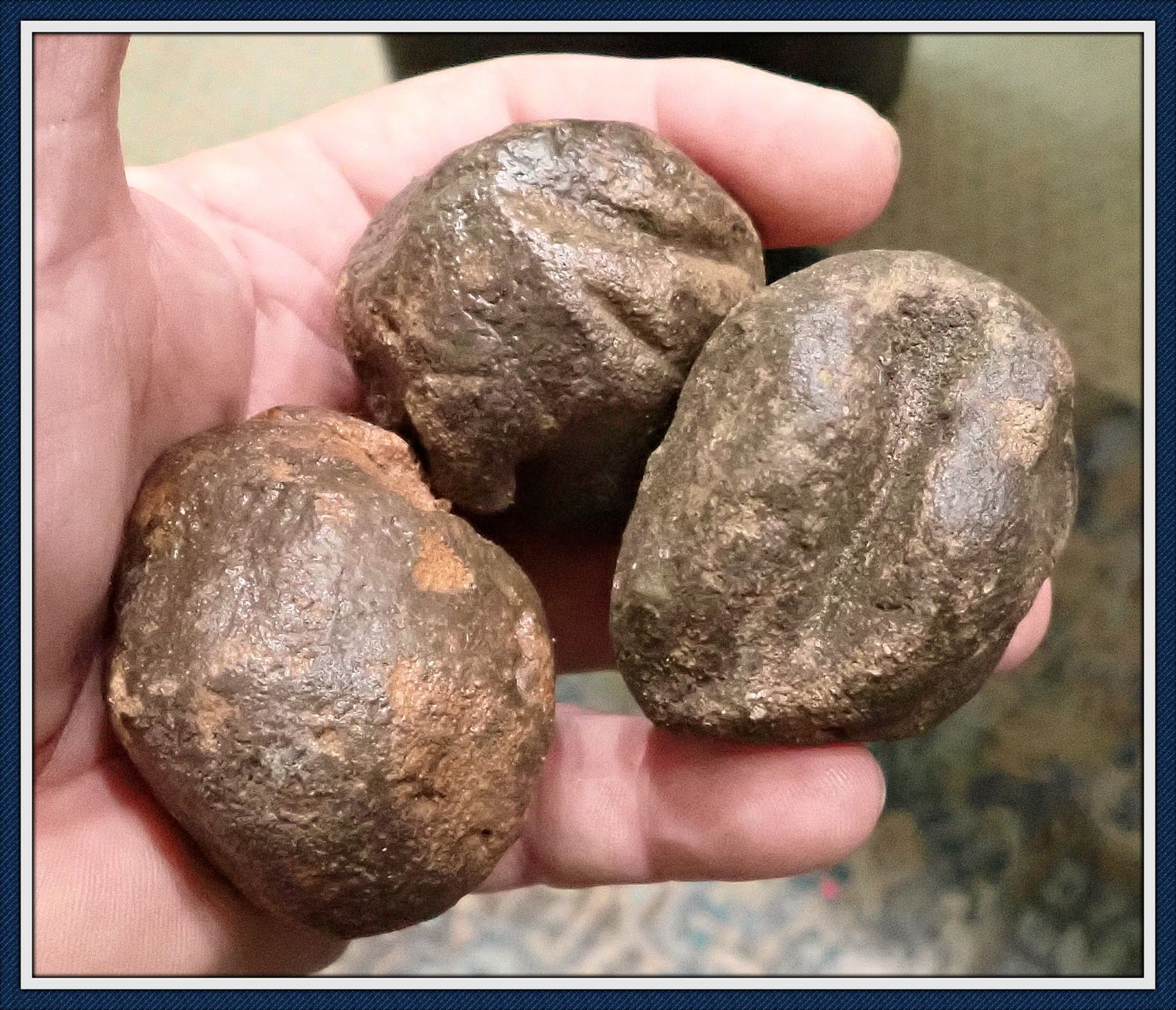 3 Poverty Point Cooking Balls ~ Northeastern Louisiana ~ 3 Poverty Point Cooking Balls ~ Northeastern Louisiana ~