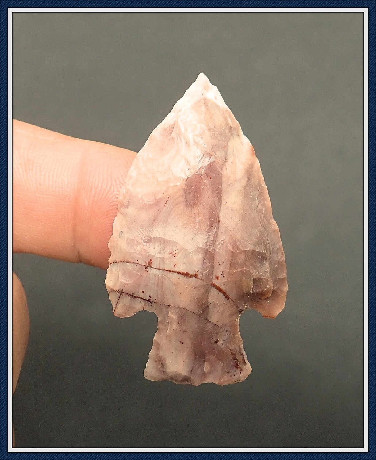 Gorgeous Purple and Pink ~ Lafayette Point