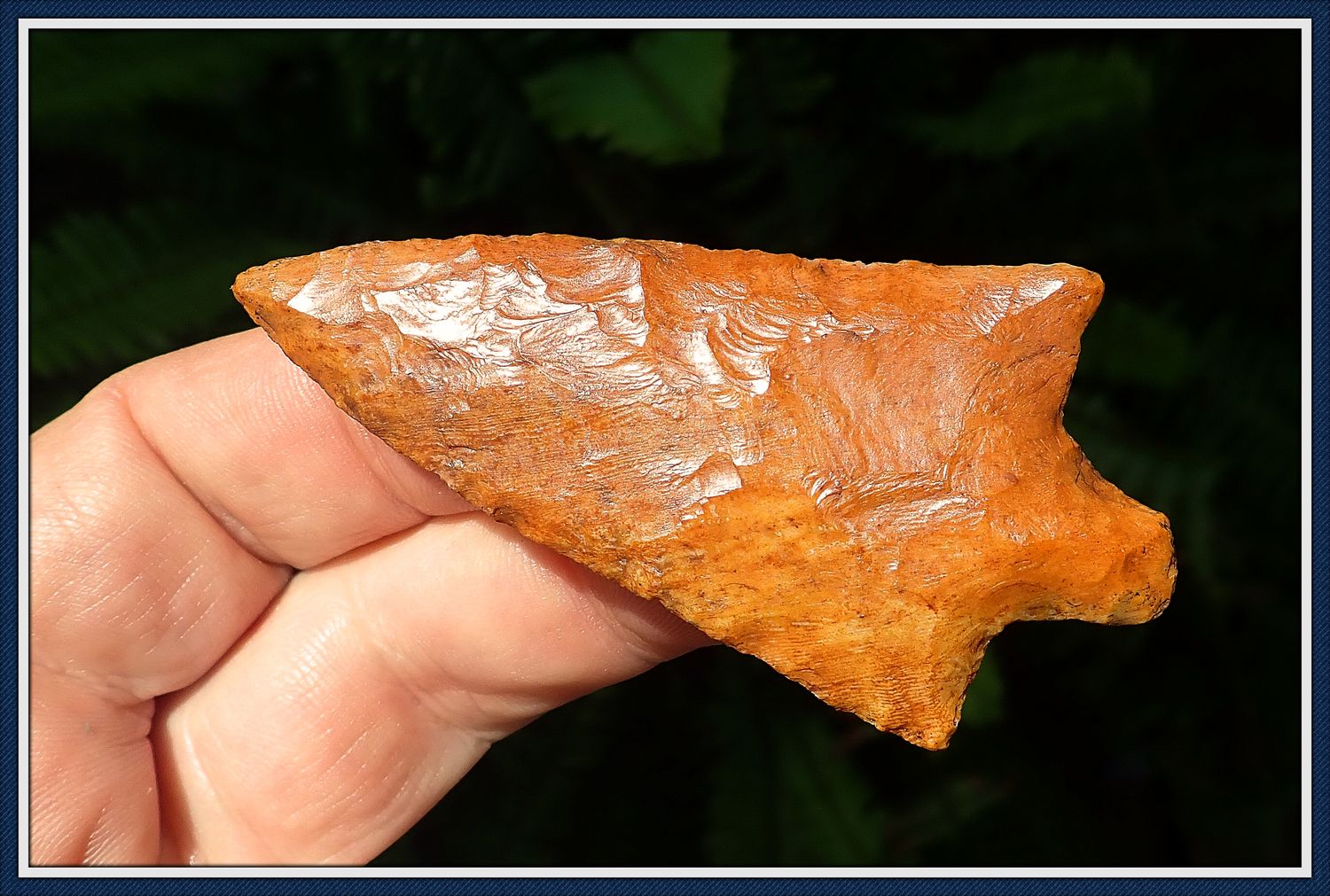 Spectacular Orange ~ Coral Marion Point ~ ON HOLD