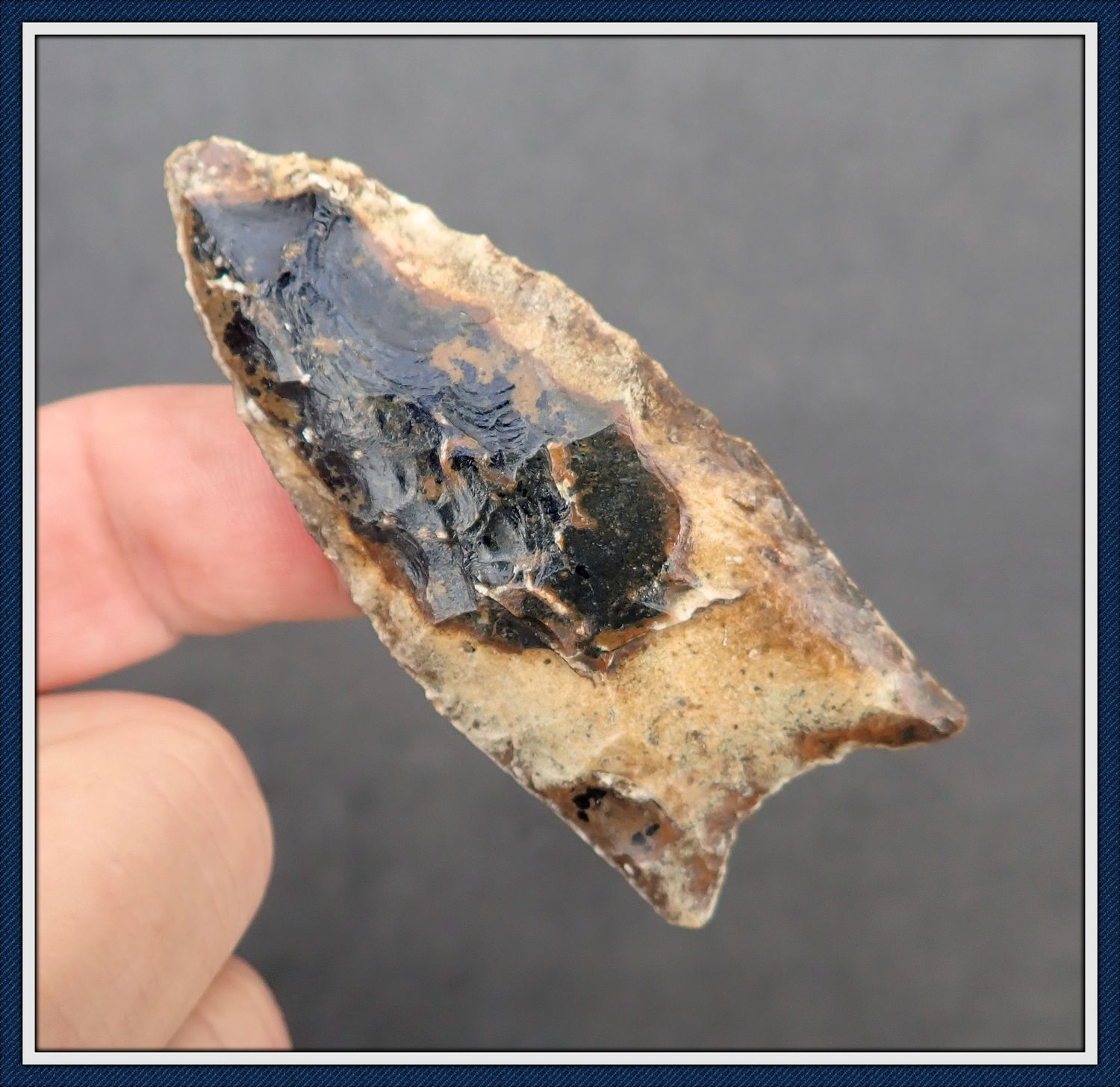 ~ Beautiful ~ 2 7/8" Spotted Clovis Point ~