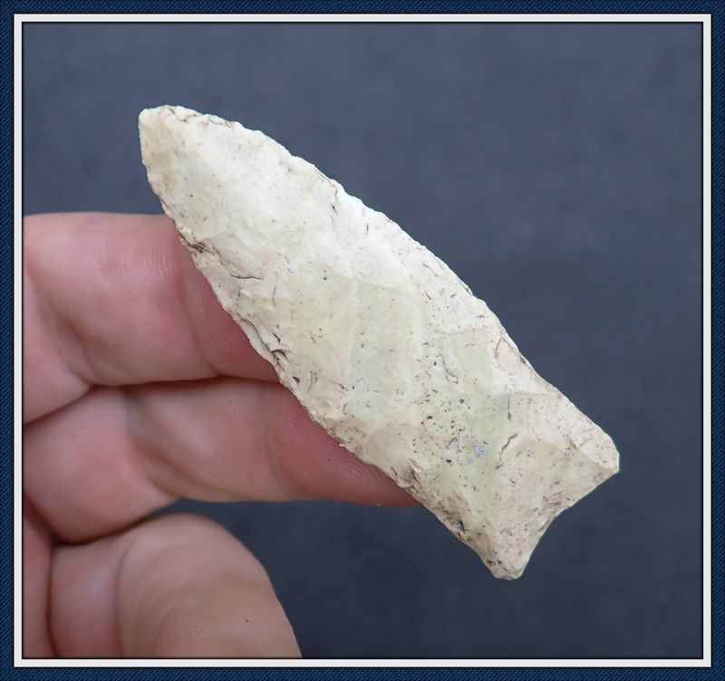 ~ Classic Alachua Co. Florida ~ Clovis Point ~