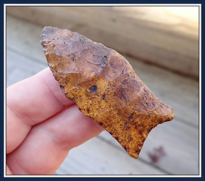 ~ Sweat Gold &amp; Orange Simpson ~