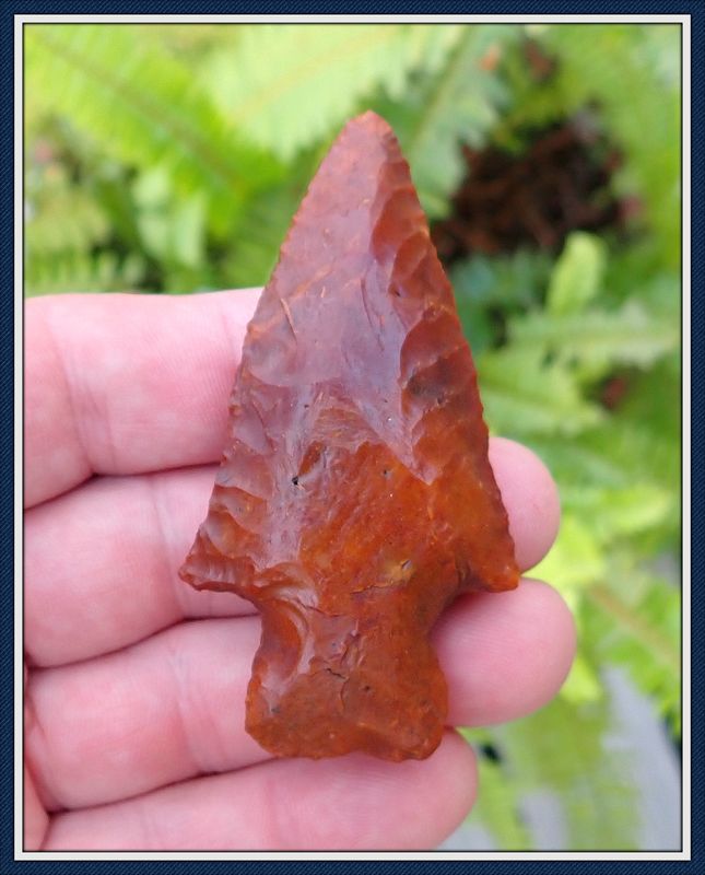 ~ Stellar Boggy Branch 2 Point ~ SOLD