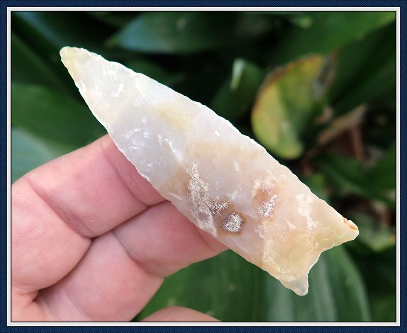 ~ Palm Beach Co. Florida  ~ Coral ~ Santa Fe Point ~