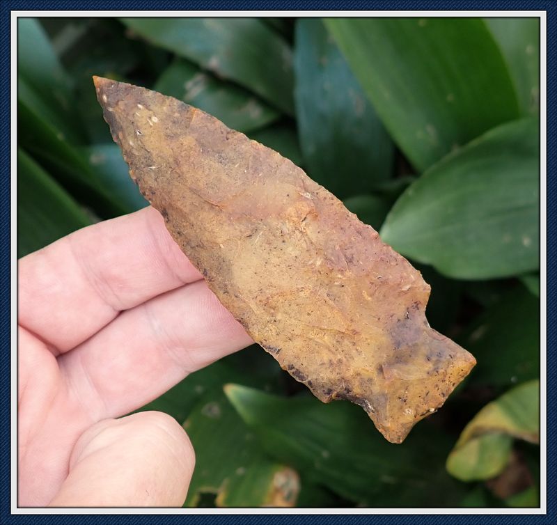 ~ Huge G-10 ~ Columbia Point ~