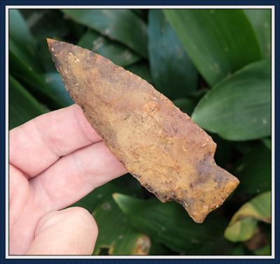 ~ Huge G-10 ~ Columbia Point ~