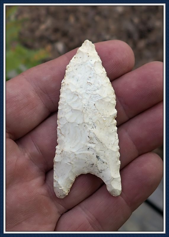 2 3/4" Classic ~ OCMULGEE DALTON ~ South Georgia ~