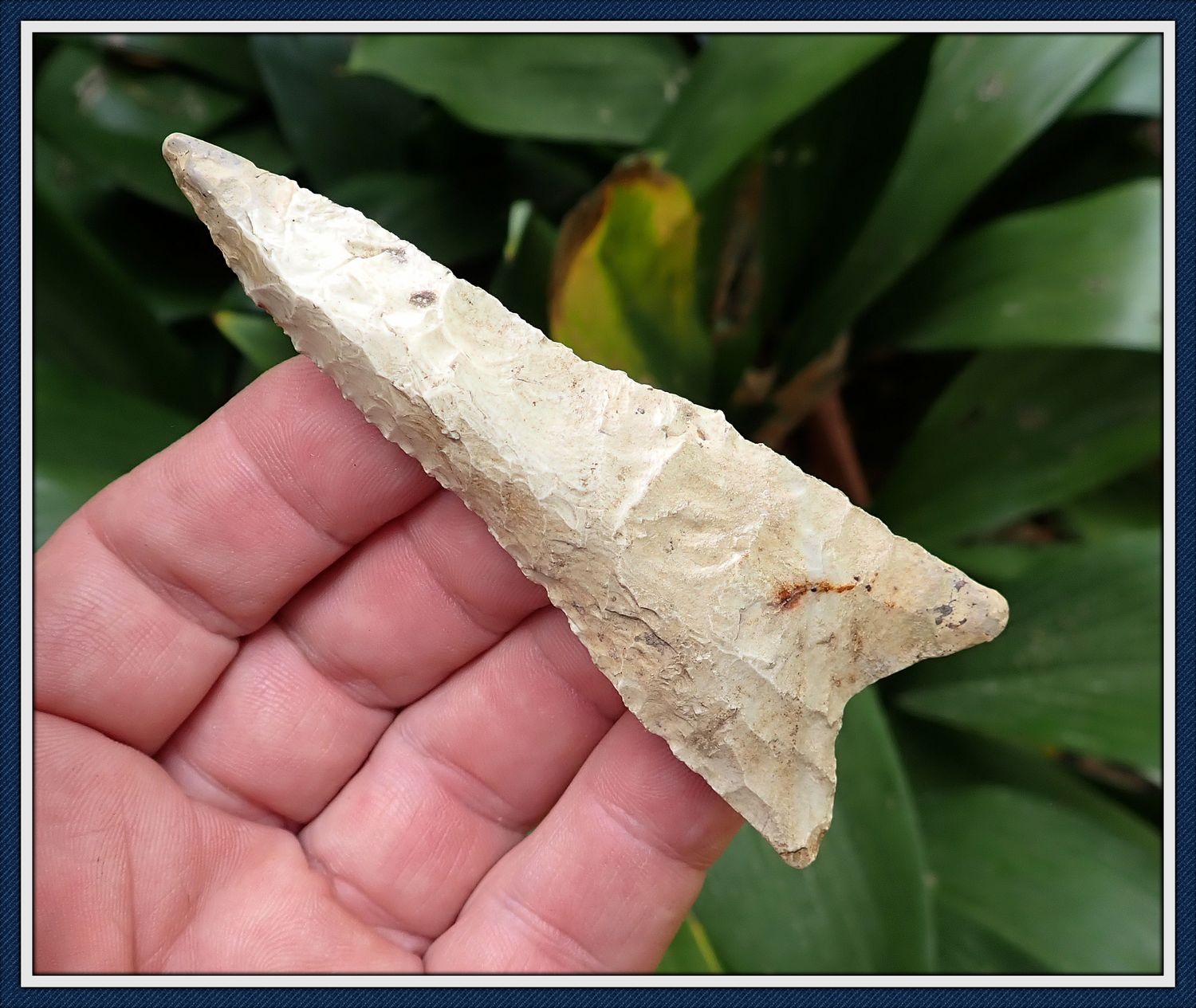 ~ Huge 3 5/8" ~ Tennessee Dalton ~