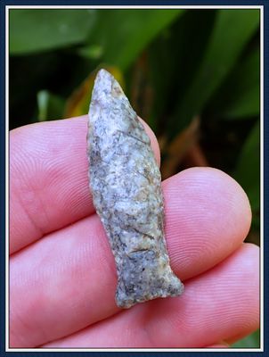 ~ Petite & Rare ~ Fluted Tennessee Wheeler Recurvate ~