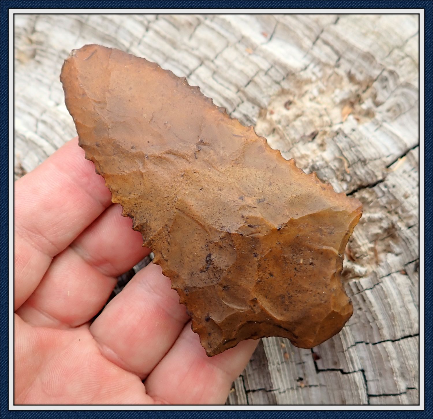 ~ Lee Co. Georgia ~ South Prong Creek Point ~