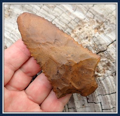 ~ Lee Co. Georgia ~ South Prong Creek Point ~