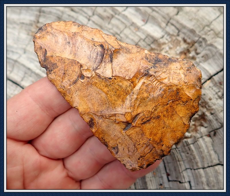 ~ Classic Golden  ~ Bell Blade ~