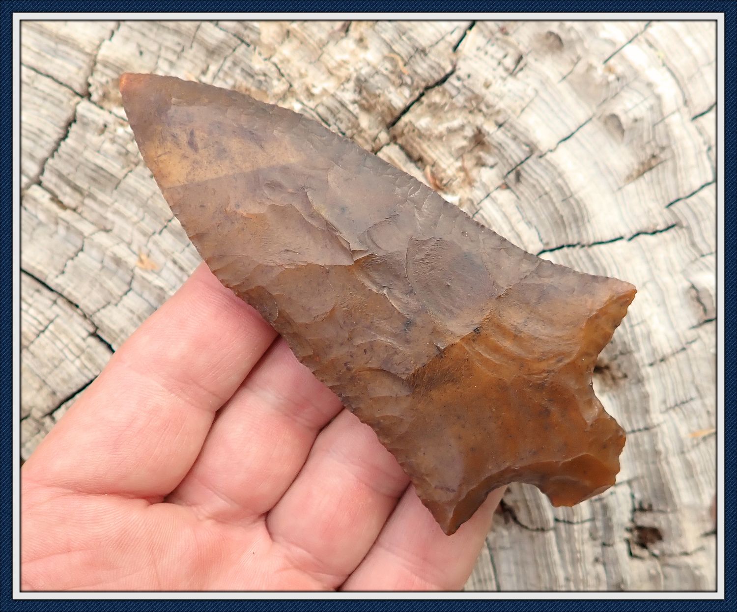 ~ Wondeful G-10 ~ Jackson Co. Florida ~ Pickwick Point ~