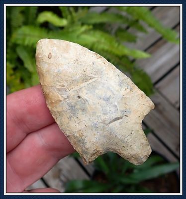 ~ South Georgia ~ Classic Newnan Point ~