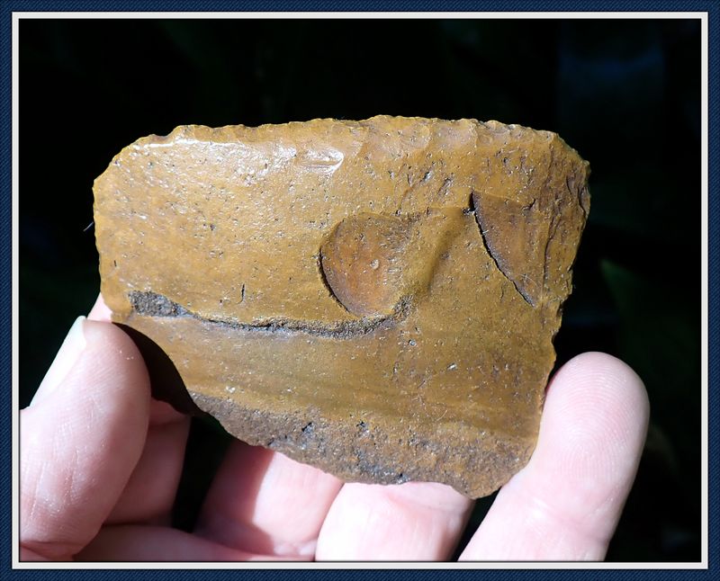 ~ Orange Polished ~ Early Flake Knife ~