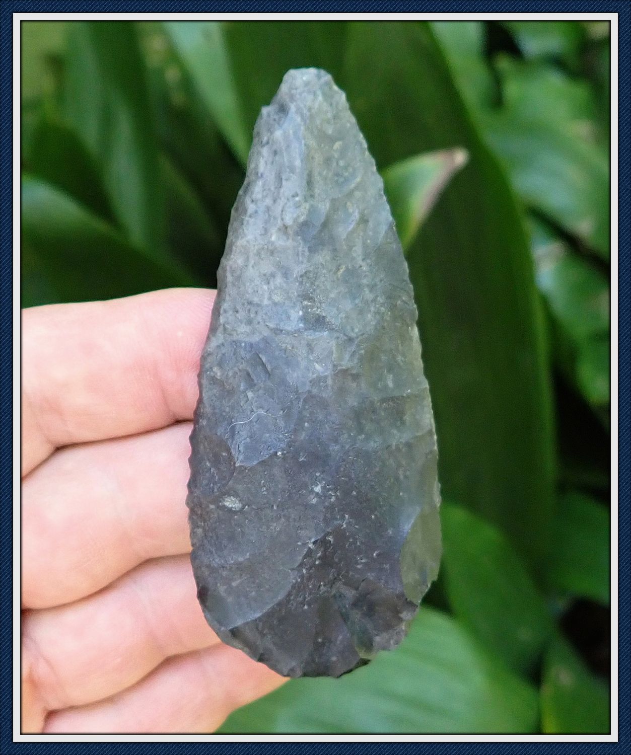 ~ Black Coral ~ Alternately Beveled ~ Cobbs Knife ~