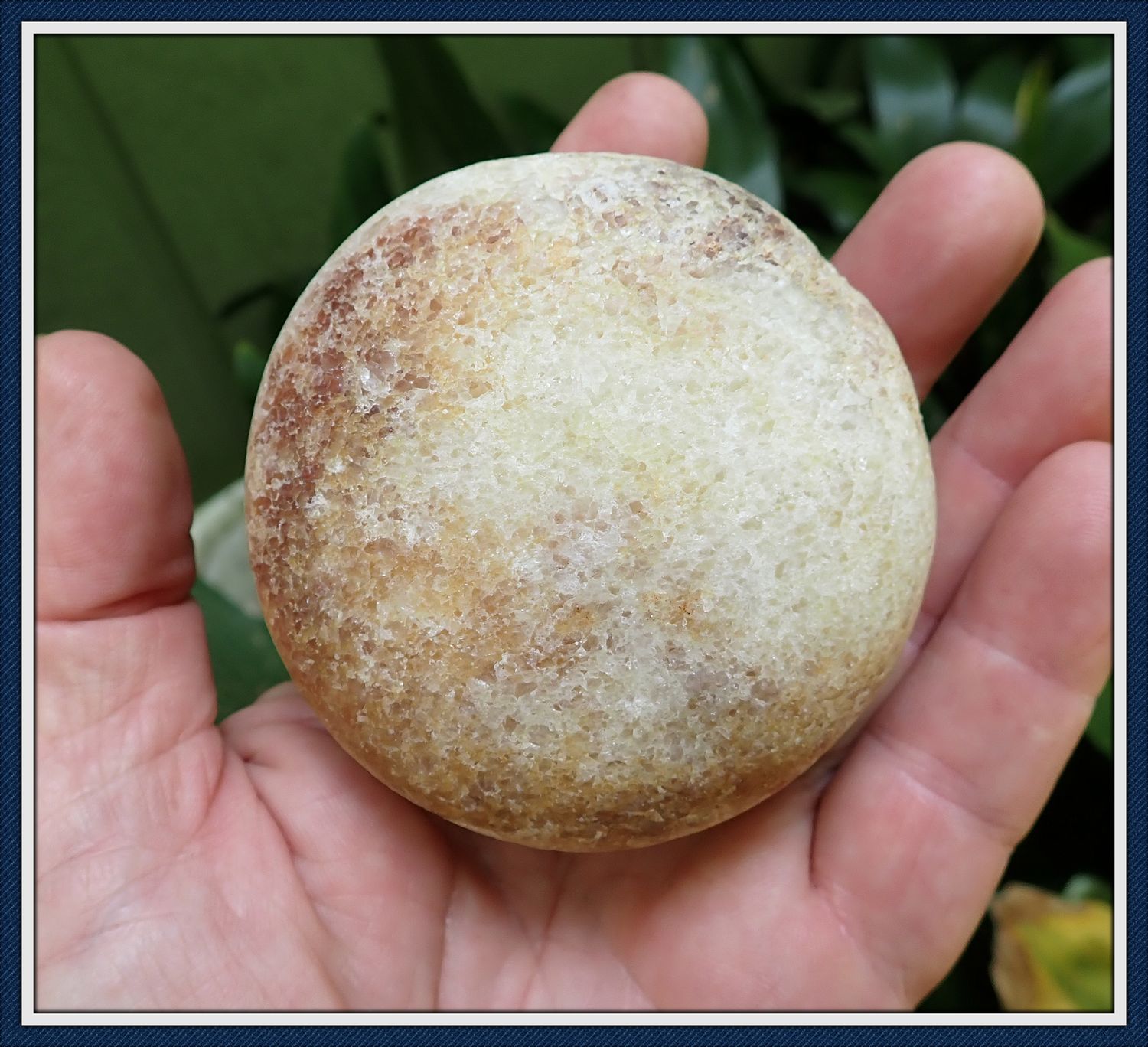 ~ Florida ~ Biscuit Discoidal ~ Game Stone ~ No 2