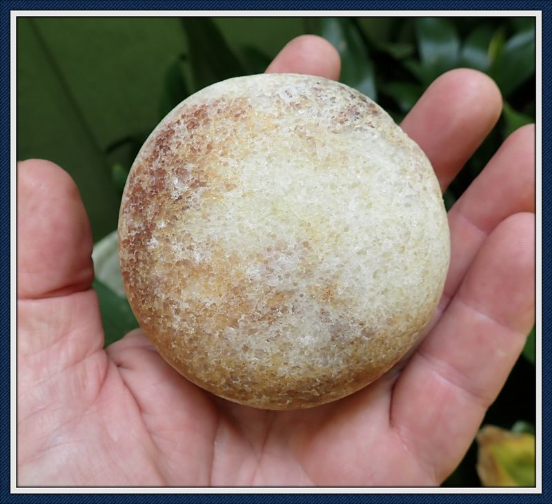 ~ Florida ~ Biscuit Discoidal ~ Game Stone ~ No 2