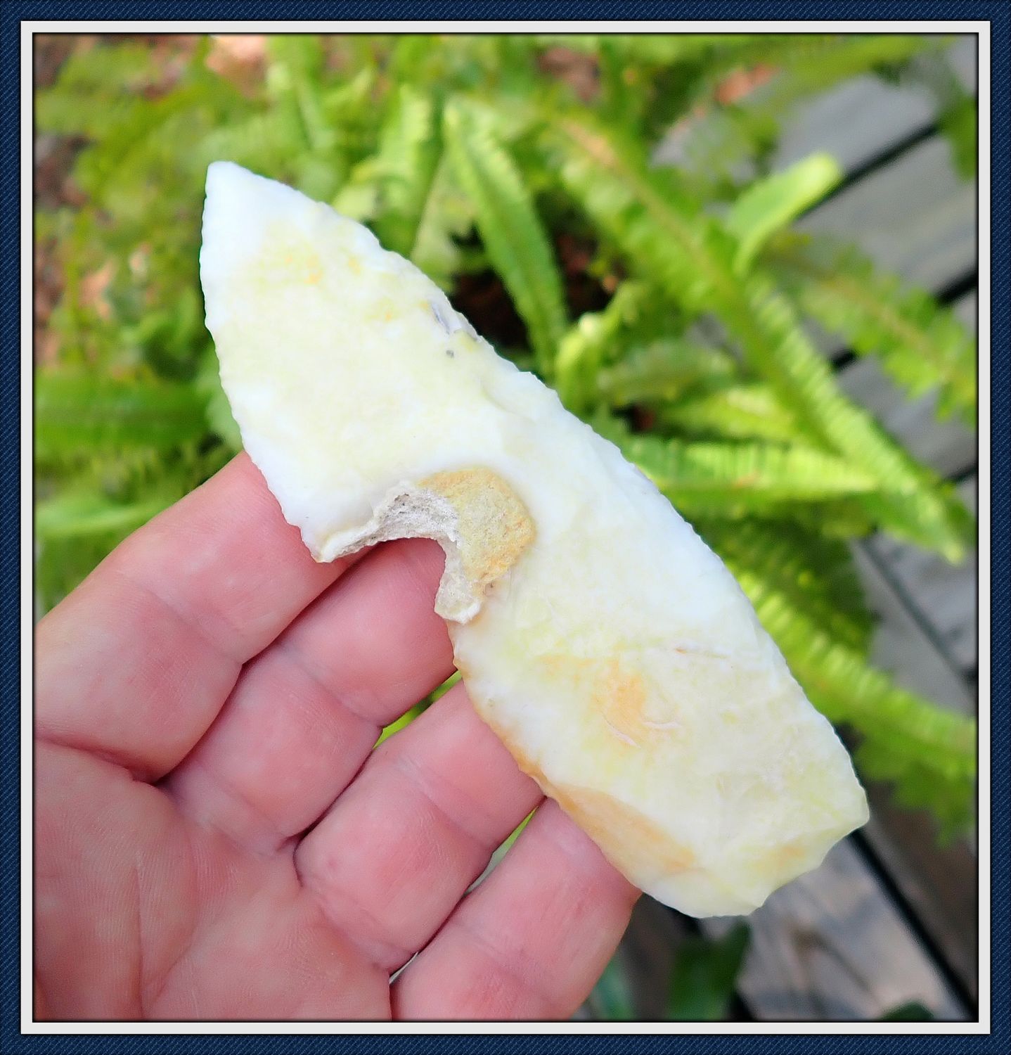 ~ Colorful Yellow & Cream ~ 'Hawk Bill' Coral Knife ~