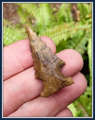 ~ Big Sandy ~ Bolen Bevel ~ Henry Co. Alabama ~