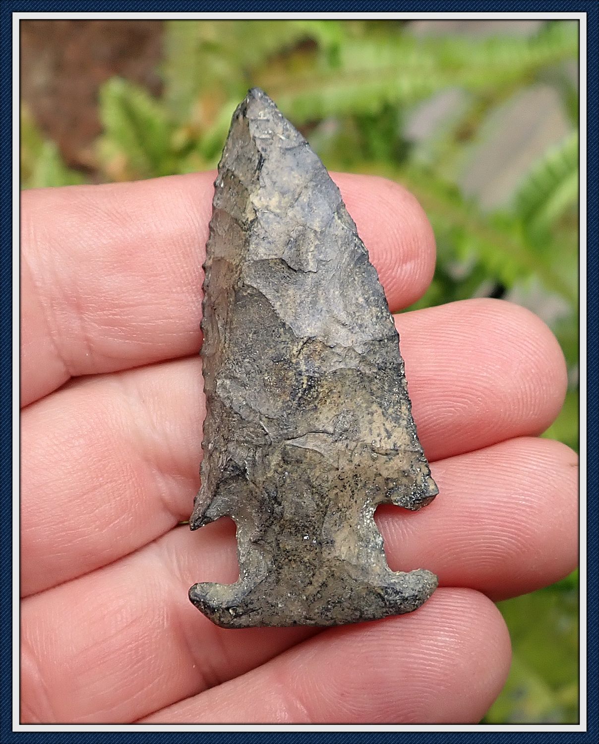 ~ Intricate Expanded Notch ~ Bolen Bevel ~