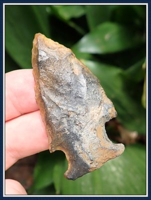 ~ Colorful Edgefield Scraper ~