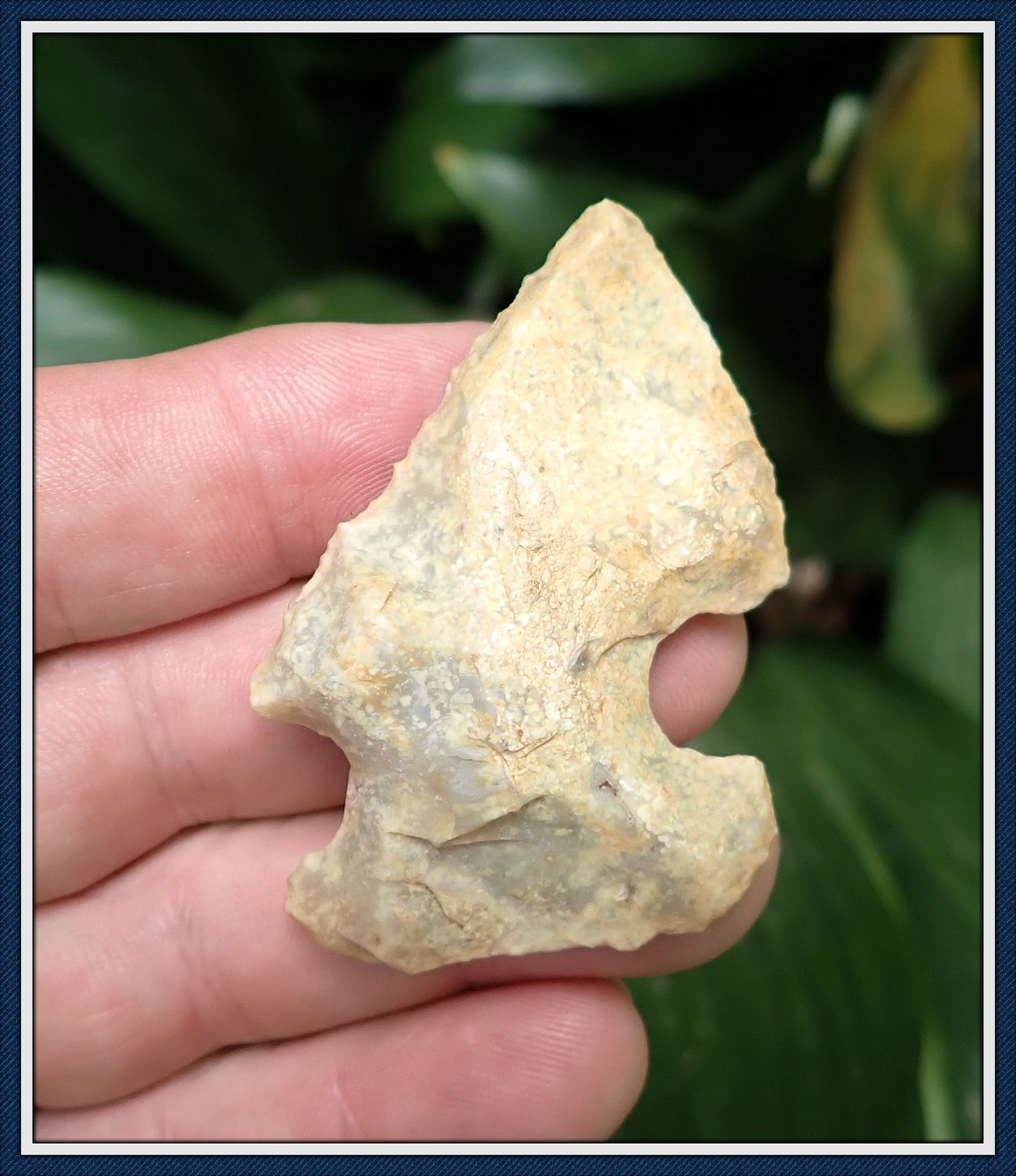 ~ Lake Bird ~ Translucent Edgefield Scraper ~