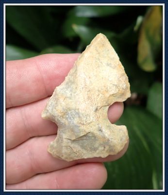 ~ Lake Bird ~ Translucent Edgefield Scraper ~