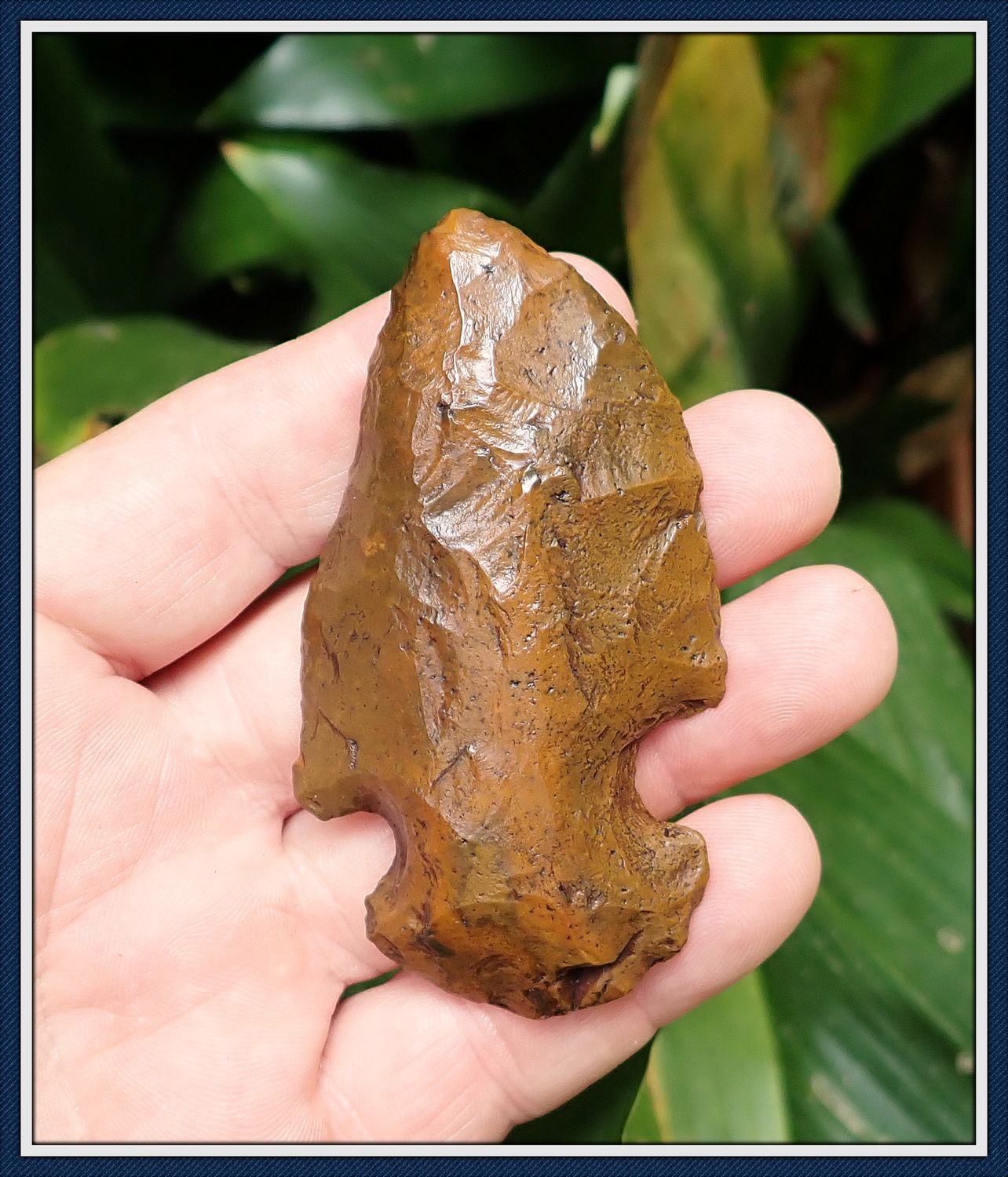 ~ The Beast ~ Edgefield Scraper ~