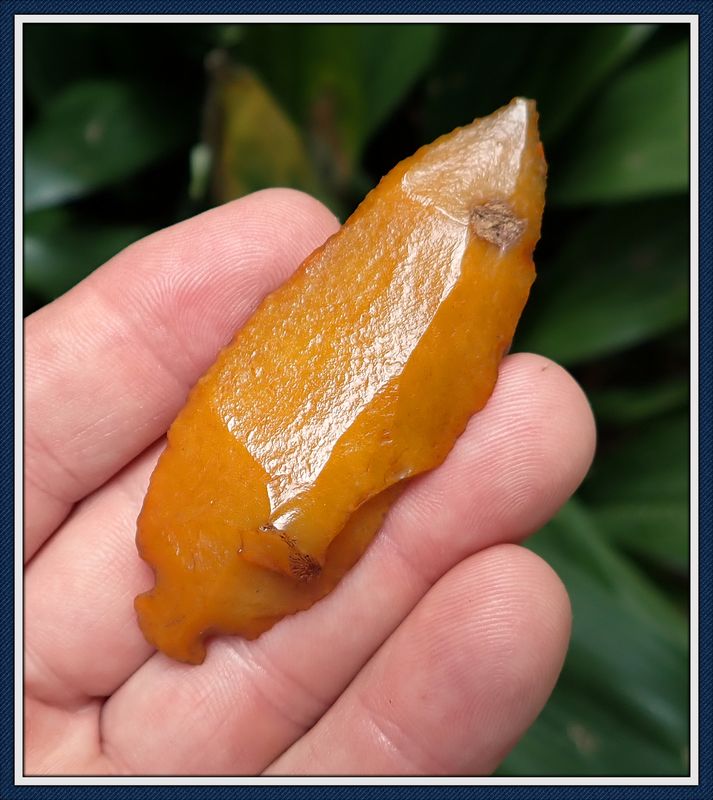 ~ Translucent Golden ~ Waller Knife ~ Grade 10