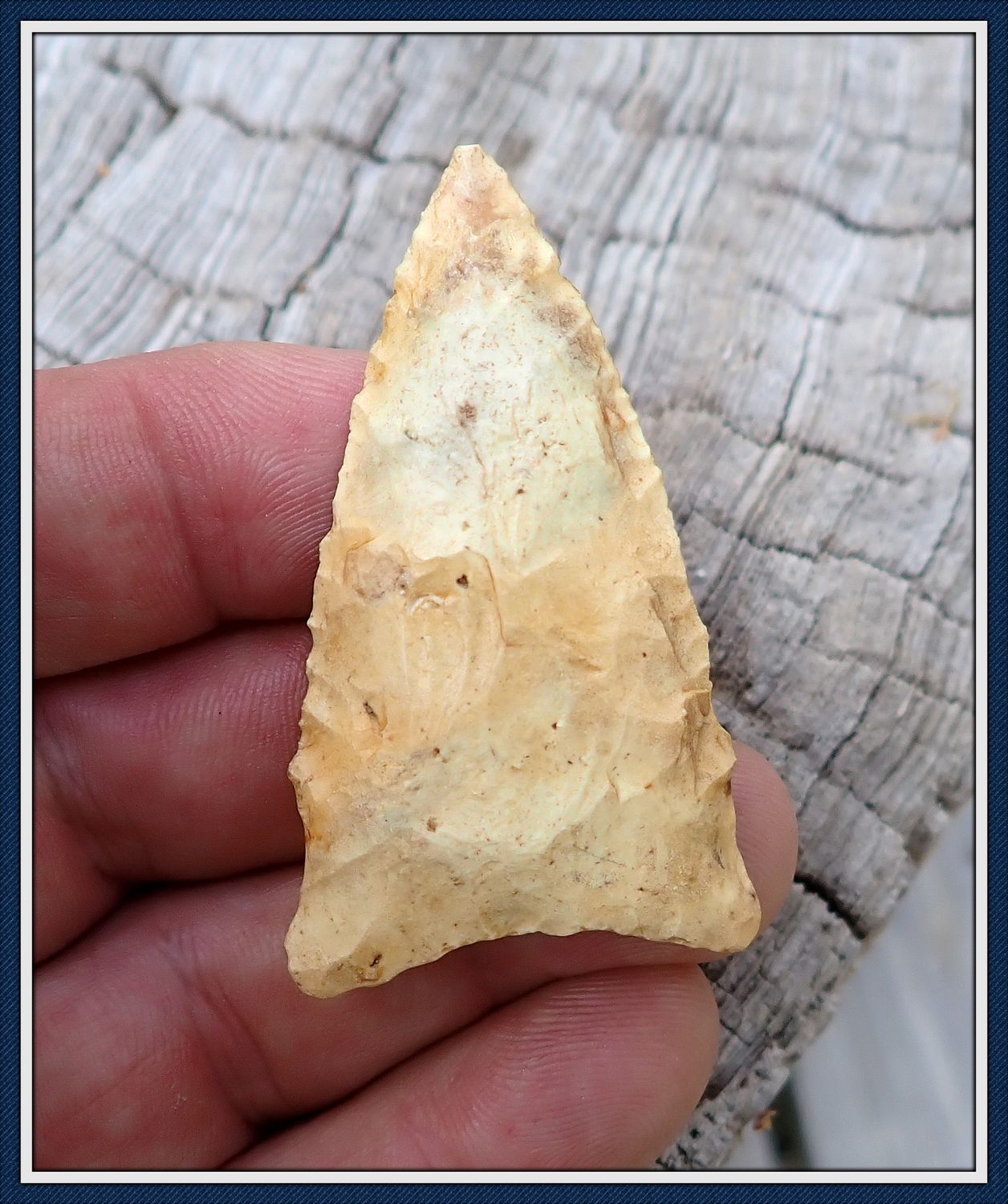 ~ G-10 ~ The Rarest Florida Paleo Type ~ Union Side Notch ~
