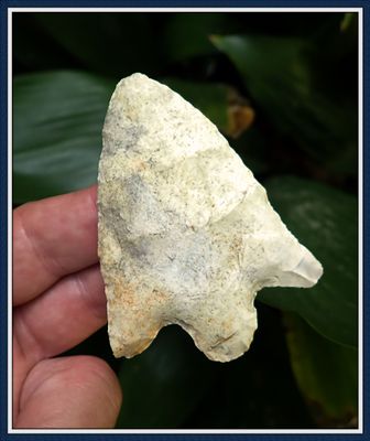 ~  Rare South Georgia ~ Clearwater Point ~ ON HOLD