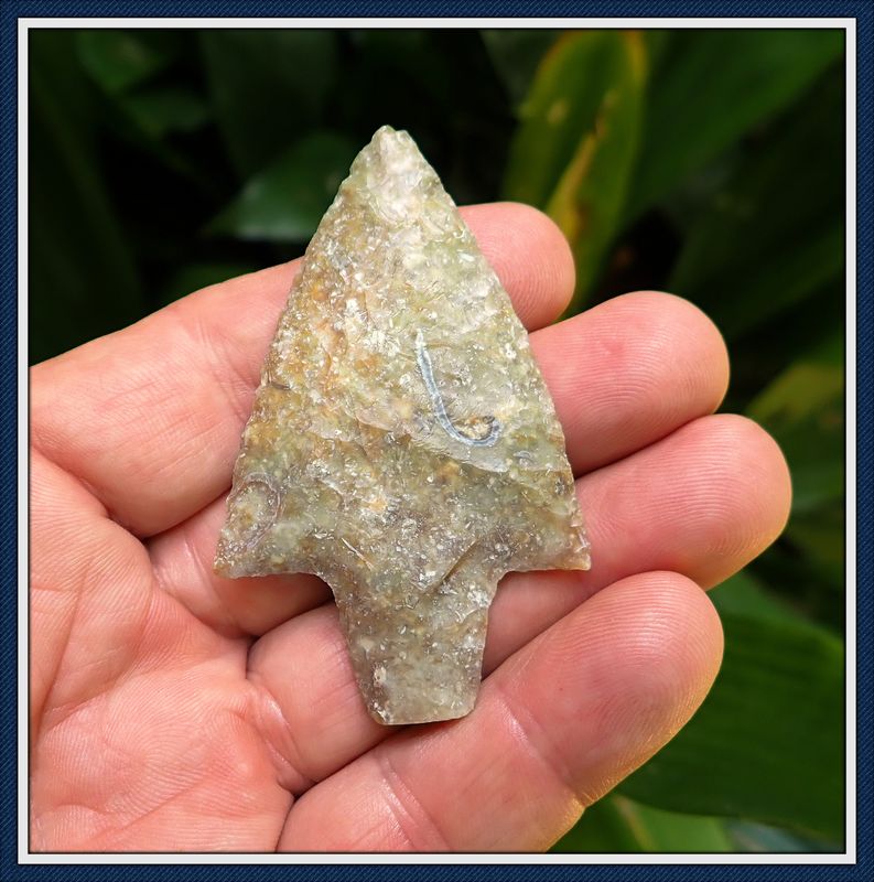 ~ Alachua Co. Florida ~ Newnan Spear Point ~