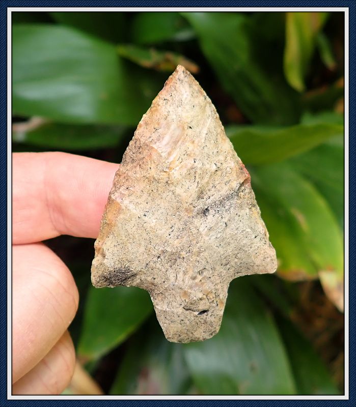 ~ Sumter Co. Florida ~ Newnan Spear Point ~