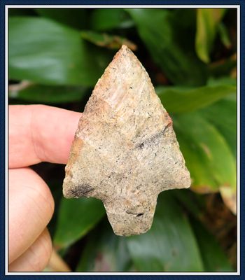 ~ Sumter Co. Florida ~ Newnan Spear Point ~