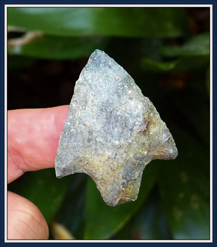 ~ Putnam Co. Florida ~ Newnan Spear Point ~
