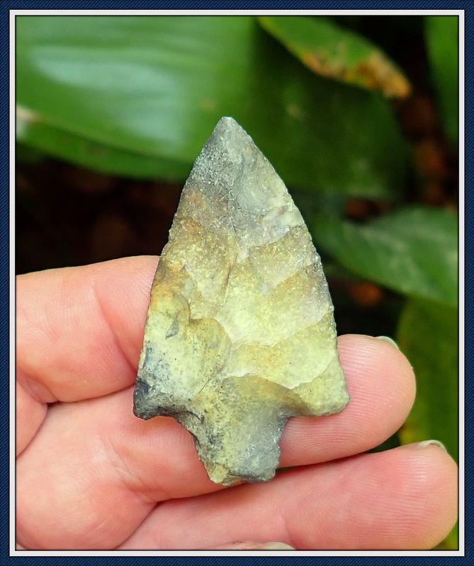 ~ Color Blast ~ Orange Co. Florida ~ Newnan Spear Point ~