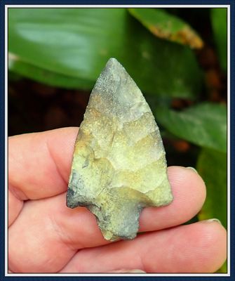 ~ Color Blast ~ Orange Co. Florida ~ Newnan Spear Point ~