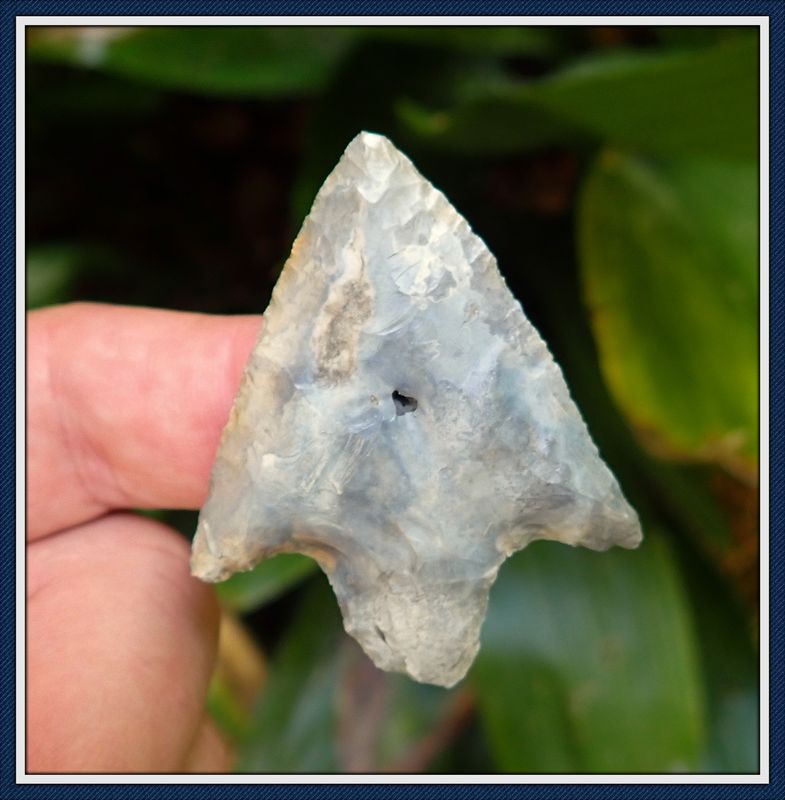 ~ Colorful Broad Winged  ~ Putnam Co. Florida ~ Cypress Creek Spear Point ~