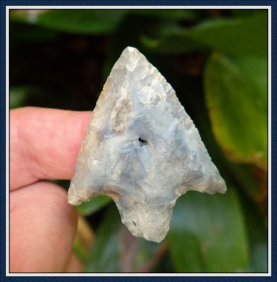~ Colorful Broad Winged  ~ Putnam Co. Florida ~ Cypress Creek Spear Point ~