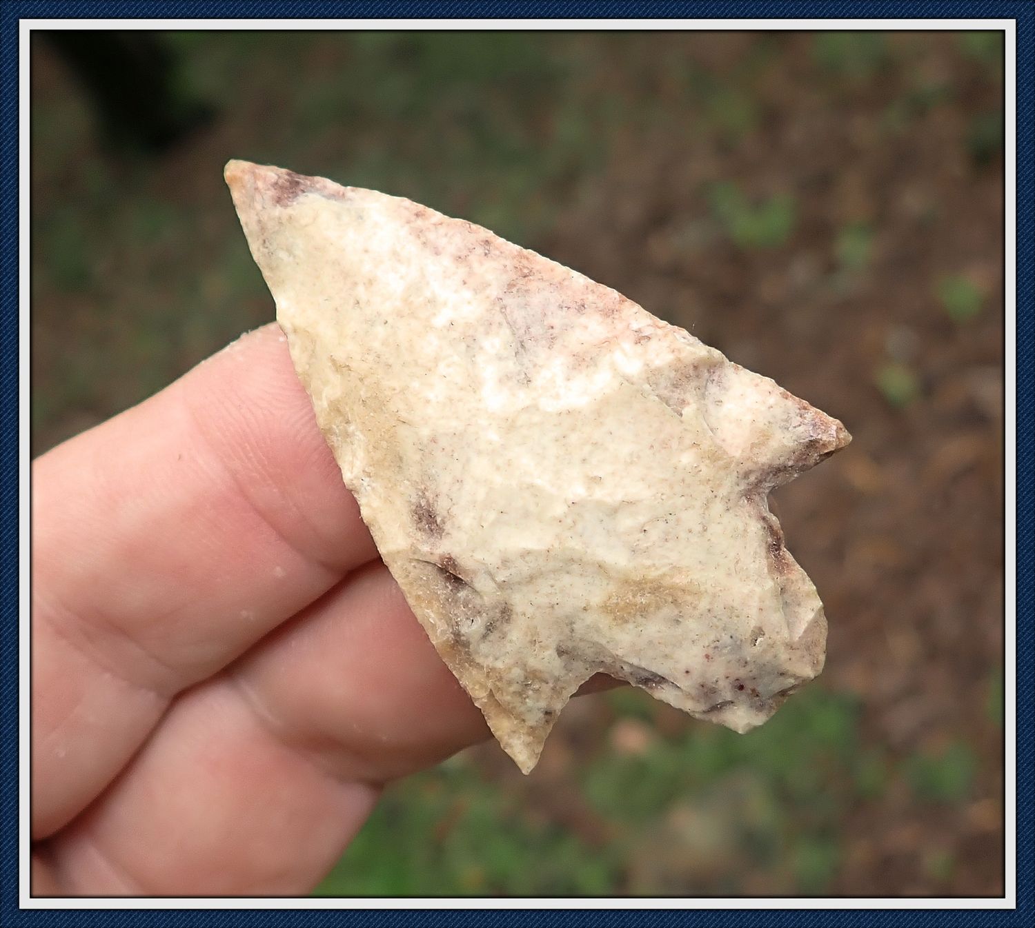 ~ Pink & Cream Marion Co. Florida ~ Newnan Spear Point ~ ~ Pink & Cream Marion Co. Florida ~ Newnan Spear Point ~