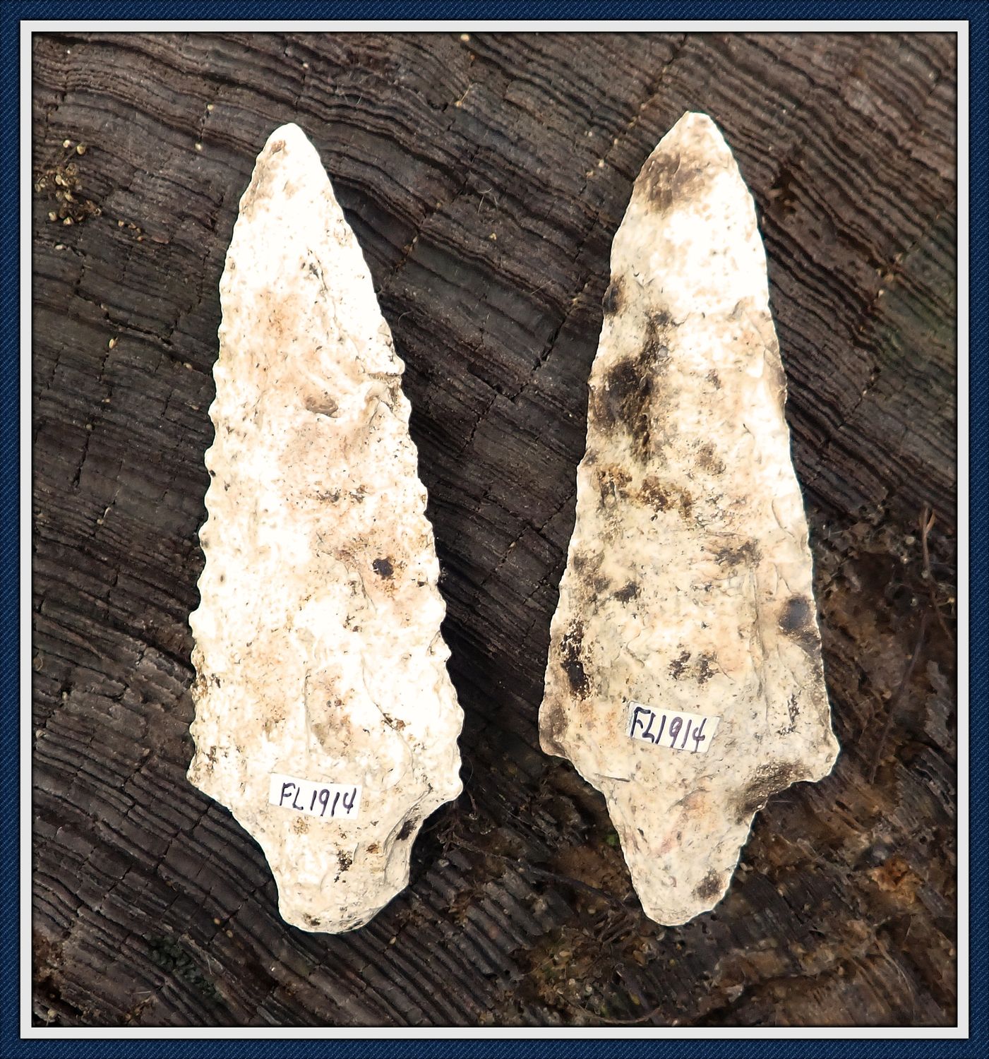 ~ Marion Co. Florida ~ Pickwick Knife Cache ~