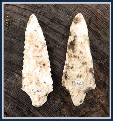 ~ Marion Co. Florida ~ Pickwick Knife Cache ~